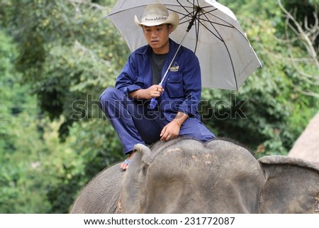 LUANG PRABANG, LAOS - AUGUST 16:\
A mahout sitting on an elephant with an umbrella at The Elephant Village outside of Luang Prabang, Laos on the 16th August, 2014.