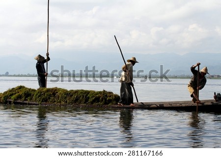 INLE LAKE, MYANMAR - NOVEMBER 18: Local workers collecting weed from the fresh water on Inle Lake, Myanmar on the 18th November, 2012.