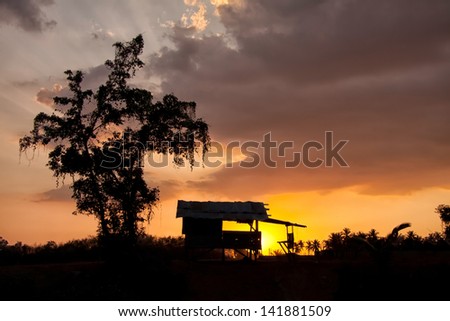 Tropical tree and a house silhouette at the sunset somewhere in savanna