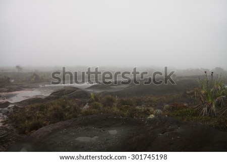 Totally lost in fog another planet looking like rocky terrain of mount Roraima covered with weird flora