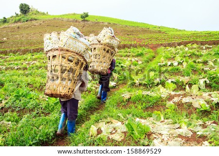 Farmers carrying agricultural product.