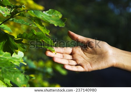 Hand touching leafs / In touch with Nature / Hand touching leafs