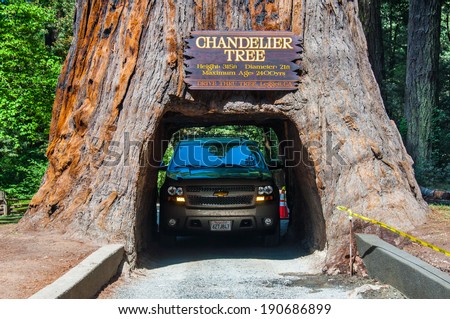 REDWOOD NP, CALIFORNIA - MAY 21, 2013: Famous attraction of the Redwood National Park - a drive through tree