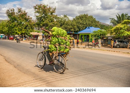 MTO WA MBU, ARUSHA, TANZANIA - OCTOBER 22, 2014 : African man traveling on a bike with a bunch of bananas