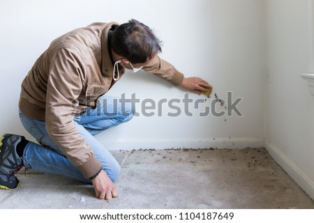 Young man in mask sitting crouching by room wall carpet floor flooring, white painted walls, during remodeling renovation, cleaning with sponge, inspection of dirty mold, dust, trash