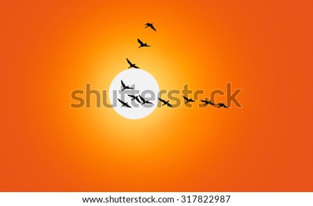 Geese are flying in v-formation in front of a red sky