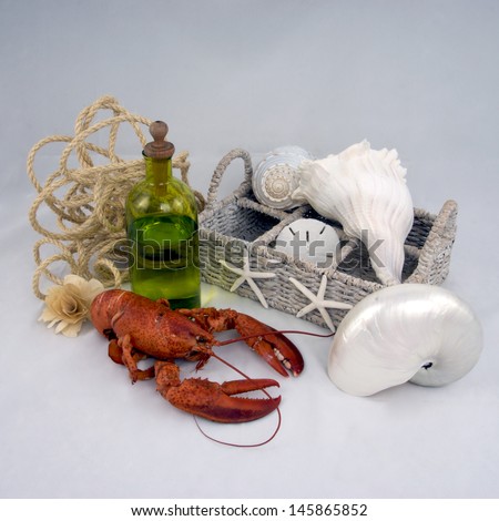 marine still life with lobster, bottle, basket and sea shells
