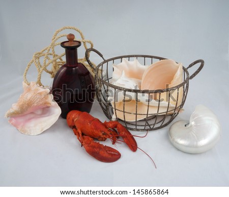 marine still life with lobster, bottle and sea shells