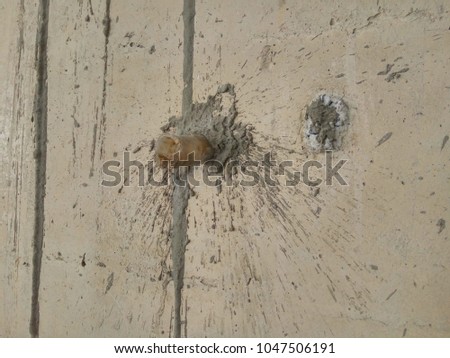 close up to pipe obtrude concrete wall with cement splash around was one of construction technique
