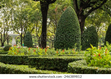 Gardening and Landscaping With Decorative Trees and Plants