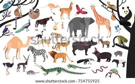 Collection of exotic animals and birds living in savannah and tropical forest or jungle isolated on white background. Set of cute cartoon characters. Flat bright colored vector illustration.