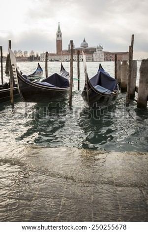 Gondolas in front of San Marco square, Venice Italy