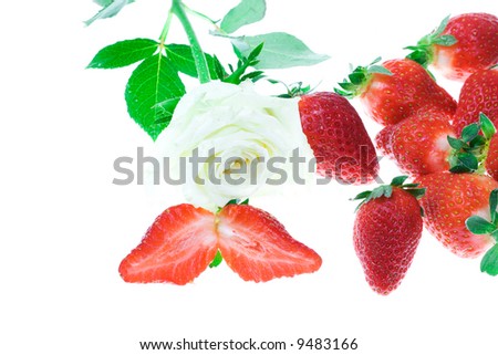 Rose and strawberry on a white background (isolated)