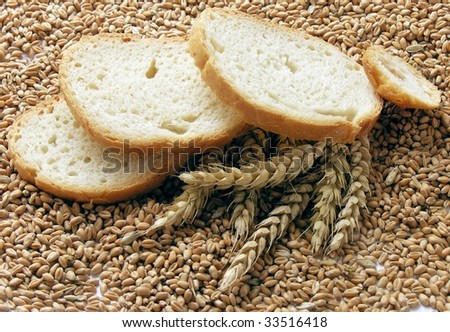 wheat,seeds,ears and slices of white bread
