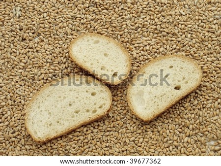 wheat grains and slices of bread