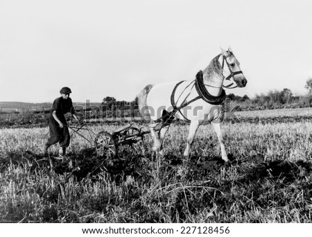 TARNOWIEC,POLAND - CIRCA 1958:vintage photo of ploughing,horse,ploughing with horse