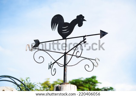 chicken vane arrow direction weather