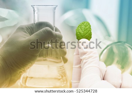 research herbal medicine at lab , test pharmaceutical