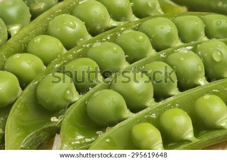 Fresh green sugar snap peas close up open pod with water droplet