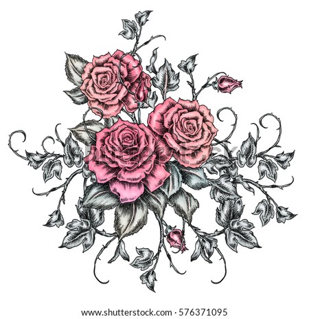 roses drawing in tattoo style