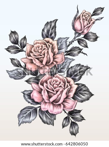 rose drawing in tattoo style
