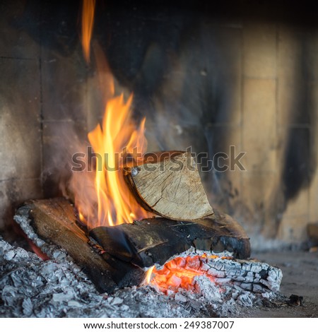 Wood burning fireplace