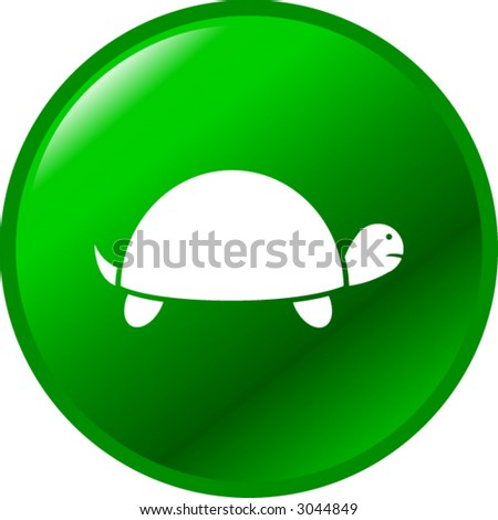 turtle button up shirt