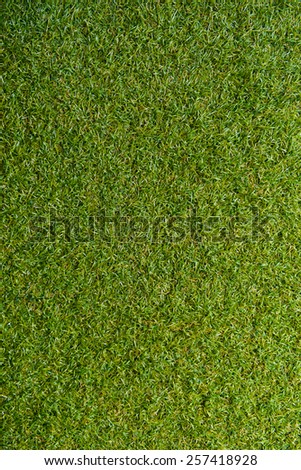 green grass with empty area for text background. Nature background.