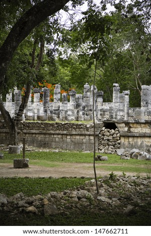 ruins in the jungle, Mexican exploration