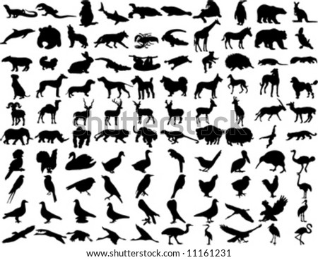 silhouettes of animals. stock vector : silhouettes wild animals 3