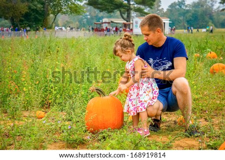 Father and daughter are picking pumpkins