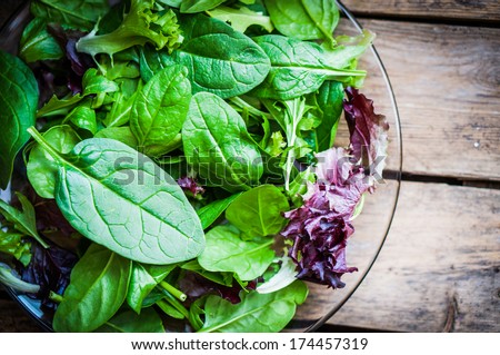 Fresh green salad with spinach,arugula,rom aine and lettuce