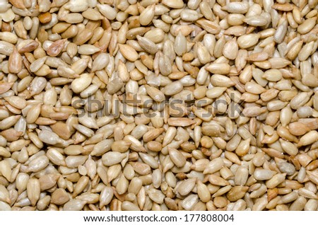Dried and salted sunflower seeds background.