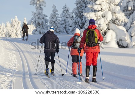Group of people cross country skiing on beautiful winter morning