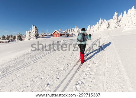 Cross Country Skier climbing a hillside with Log Cabins and snow covered firs,