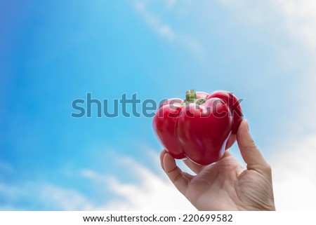 Paprika held in hand with sky in the background
