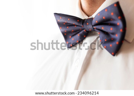 Fashionable groom wearing a bowtie on his wedding day