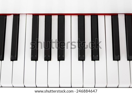 Close-up of piano keys. close frontal view