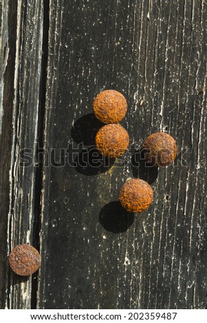Rusted drawing pins, thumb tacks or push pins on the surface of an old door with peeling black paint.