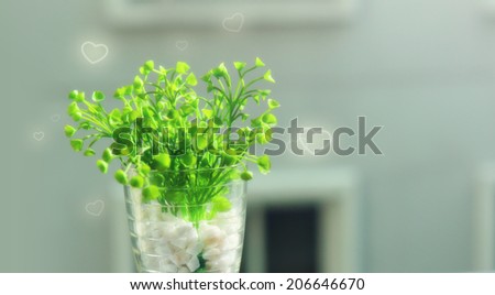 Green small plant (heart shape) in a vase and the morning sunlight (Love concept)