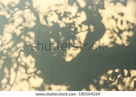 tree shadow on the wall background