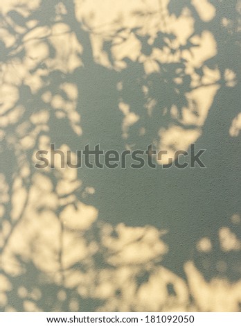 tree shadow on the wall background