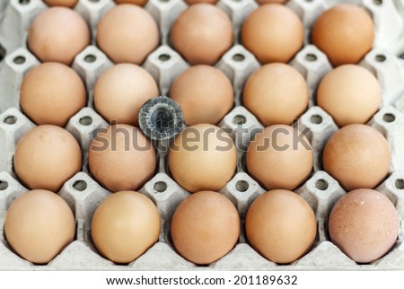 Eggs in the egg tray with chicken little feathers.