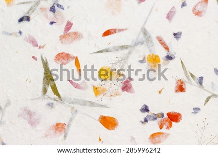 White Sa Paper with sulfur Ccosmos petals and flowers of grass  background, Sa Paper is hand made paper from parish Bosang province Chiang Mai north of Thailand, Mulberry paper texture background