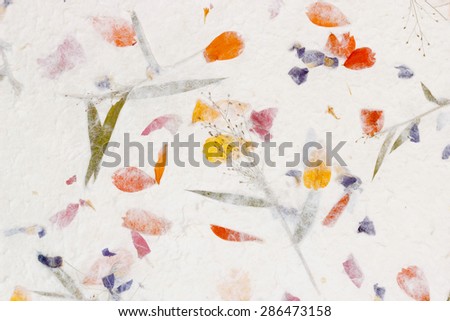 Mulberry paper texture background, White Sa Paper with sulfur Ccosmos petals and flowers of grass background, Sa Paper is hand made paper from parish Bosang province Chiang Mai north of Thailand