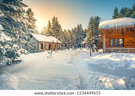 Beautiful winter landscape with snow covered trees. Forest with snow landscape and chalets. Uludag, one of Turkey's most beautiful place for winter holidays, Bursa.