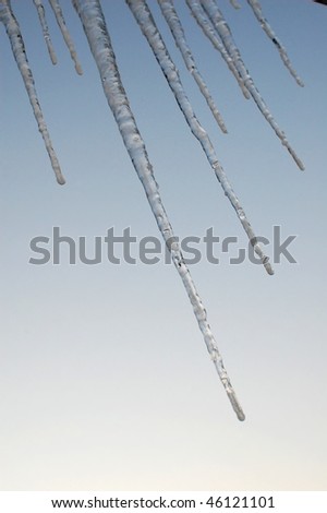Icicles in sunset light
