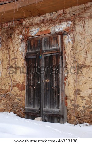 Old weathered door closed for the winter time. Branches of climbing wine on the wall.