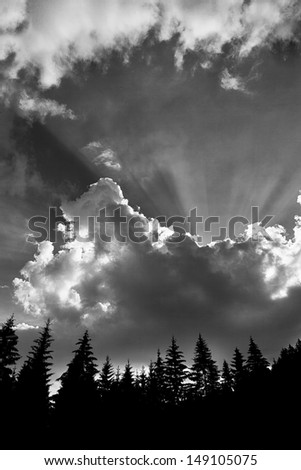 Stroke of sun going through the clouds (black and white)
