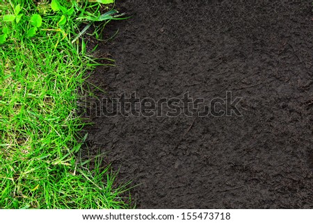 Summer background with green grass and soil